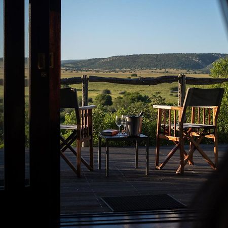 Hillsnek Safari Camp - Réserve animalière d'Amakhala Extérieur photo
