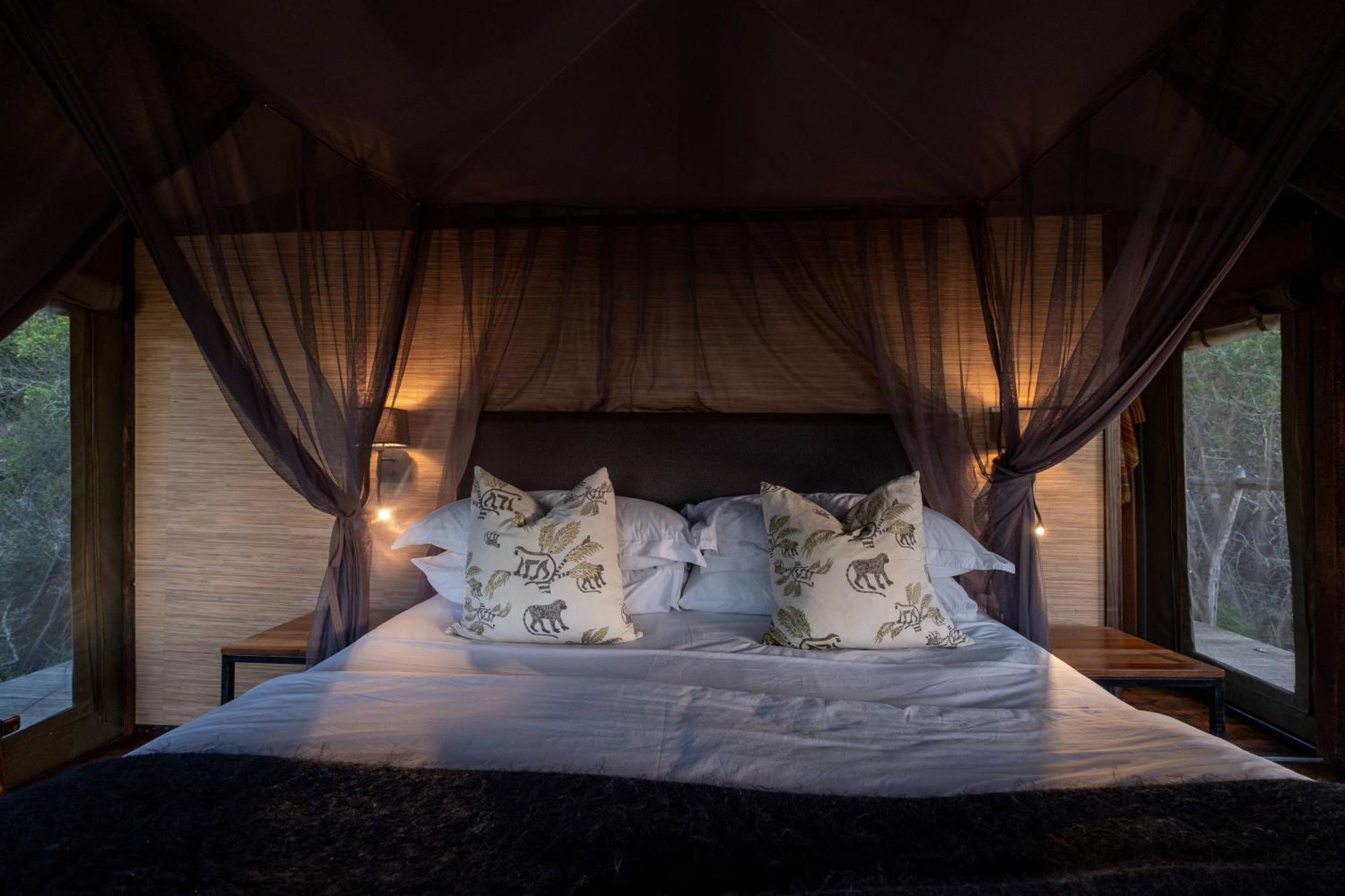 Hillsnek Safari Camp - Réserve animalière d'Amakhala Extérieur photo