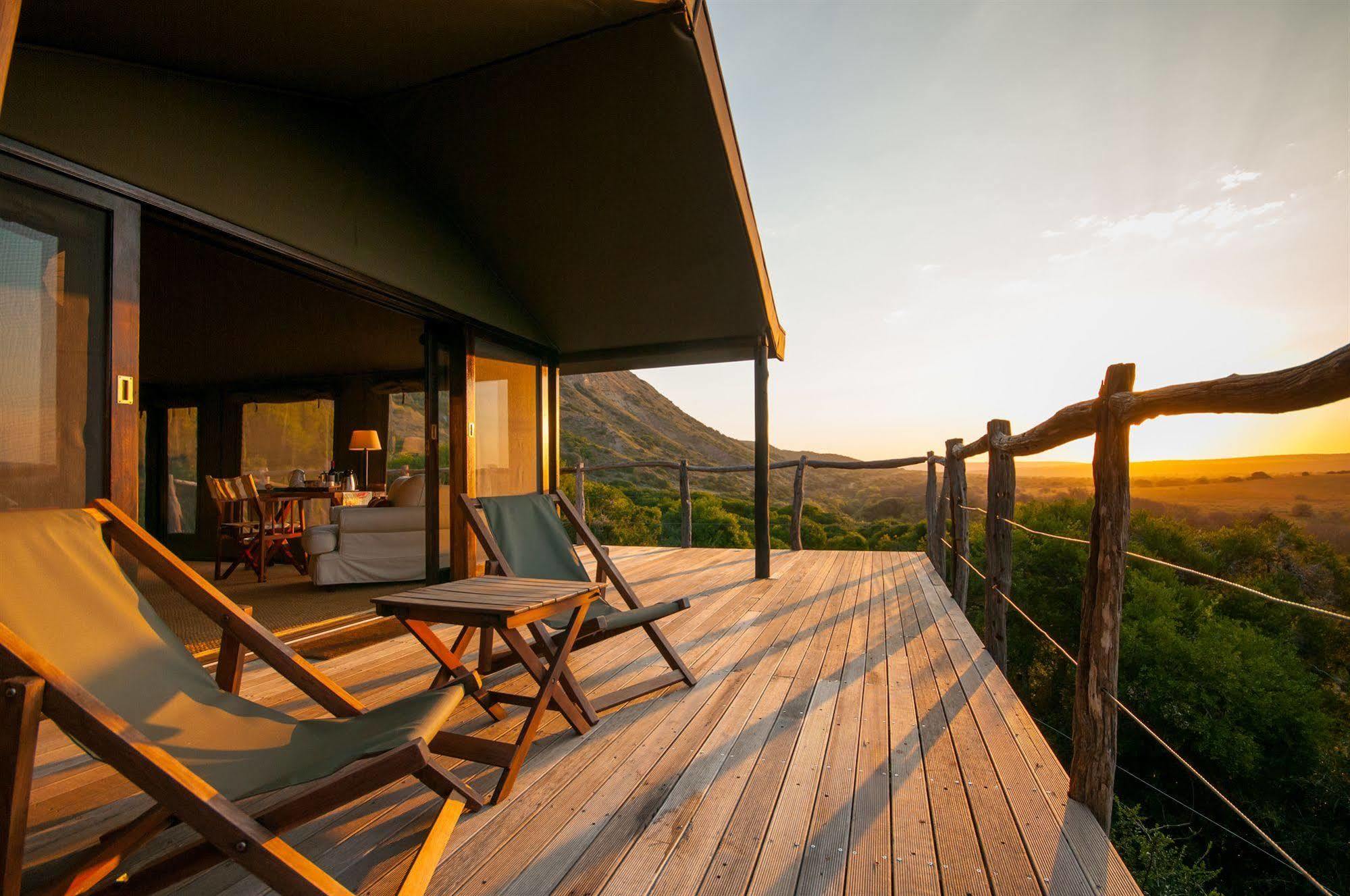 Hillsnek Safari Camp - Réserve animalière d'Amakhala Extérieur photo