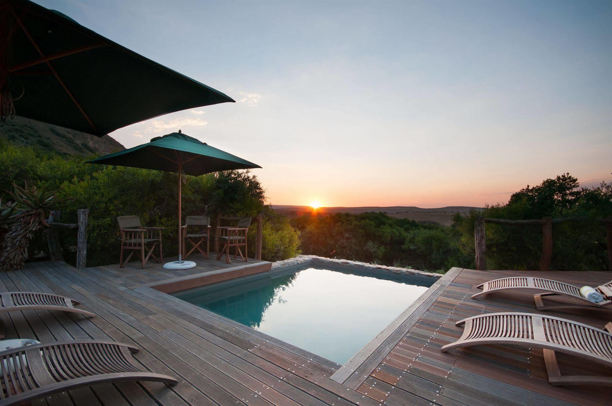 Hillsnek Safari Camp - Réserve animalière d'Amakhala Extérieur photo