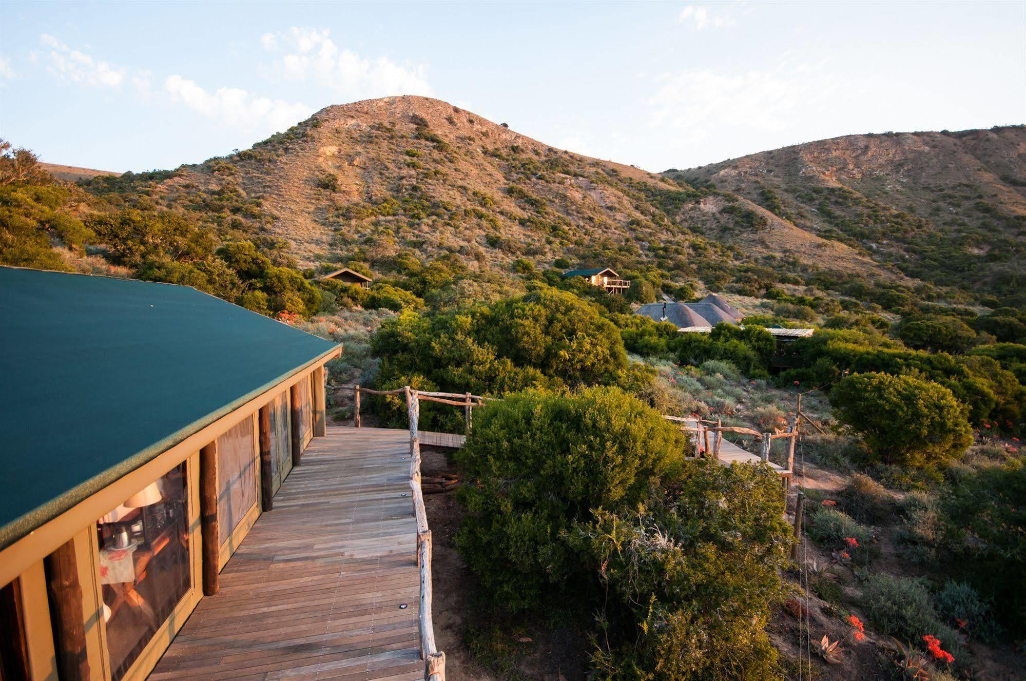 Hillsnek Safari Camp - Réserve animalière d'Amakhala Extérieur photo