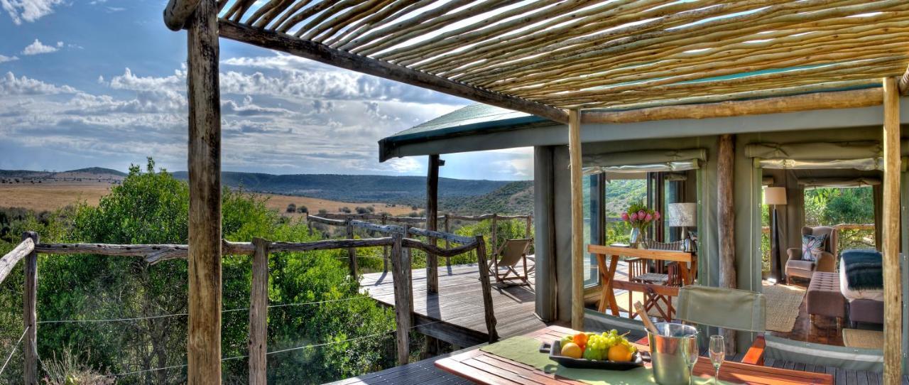 Hillsnek Safari Camp - Réserve animalière d'Amakhala Extérieur photo